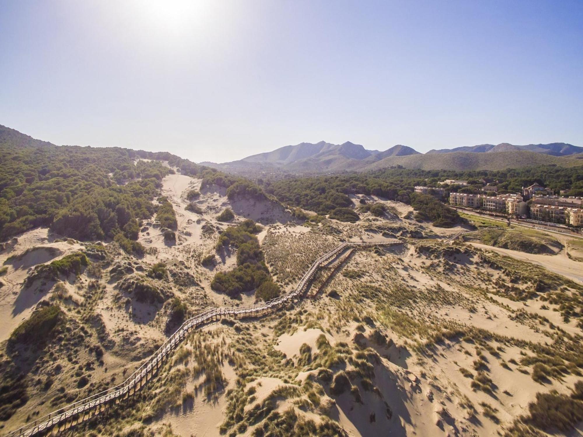 For 12 Guests, Petra * Petra (Mallorca)